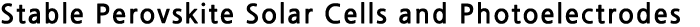 Solid Oxide Fuel Cells